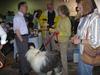 /images/events/10/2008 Raleigh Dog Show 018-thumb.jpg